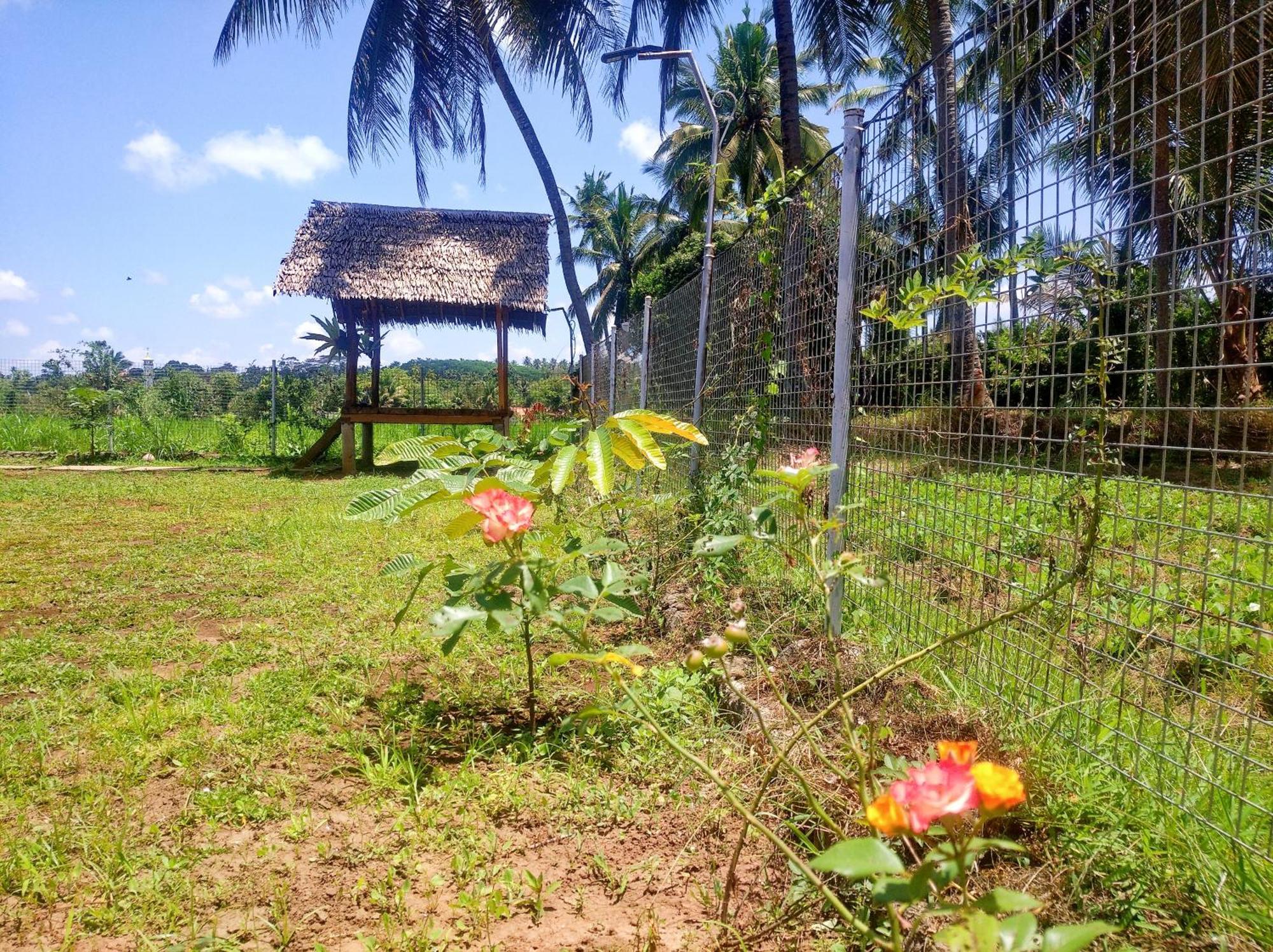 Wooden Kemiren Homestay Banyuwangi Banyuwangi  Exterior foto