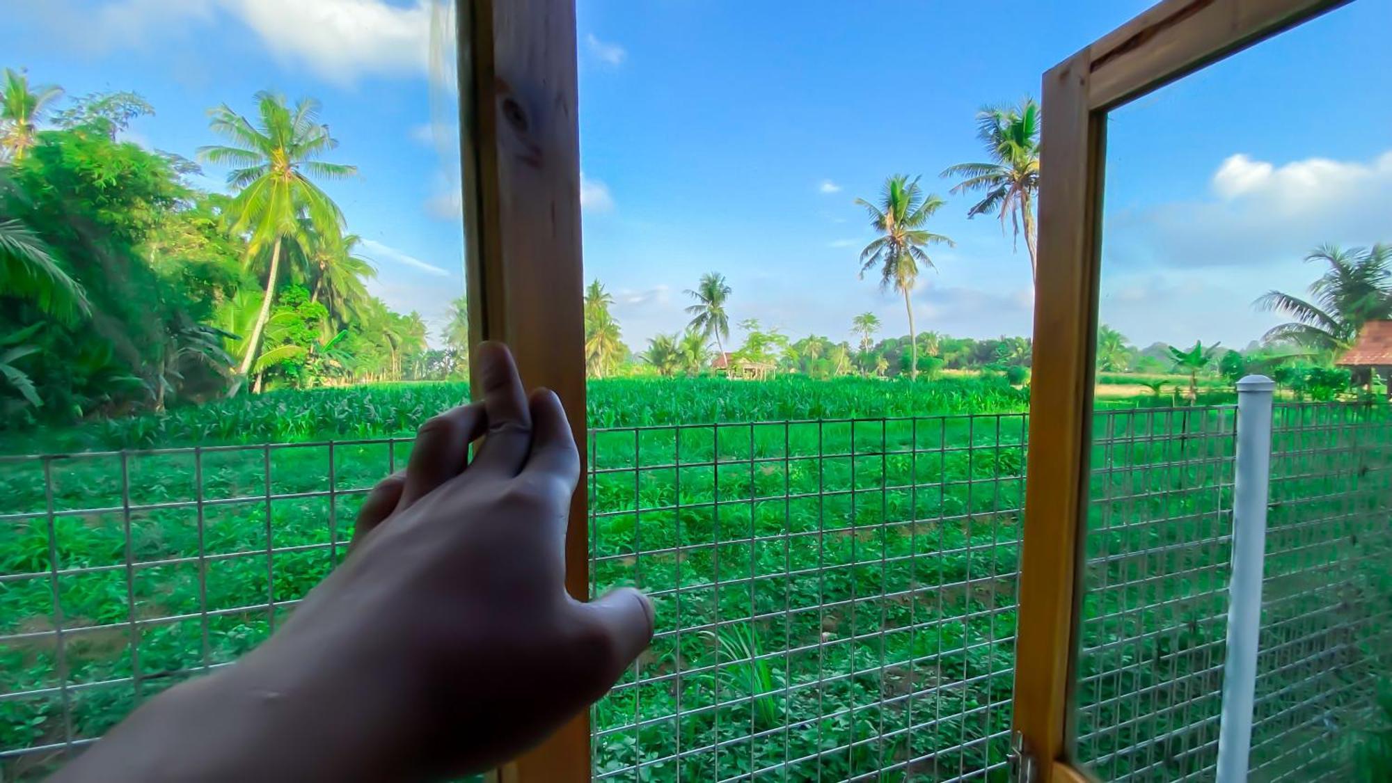 Wooden Kemiren Homestay Banyuwangi Banyuwangi  Exterior foto